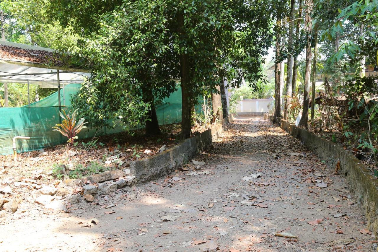 The Mana-Heritage Stay - Chengazhimattam Mana Kottayam Εξωτερικό φωτογραφία
