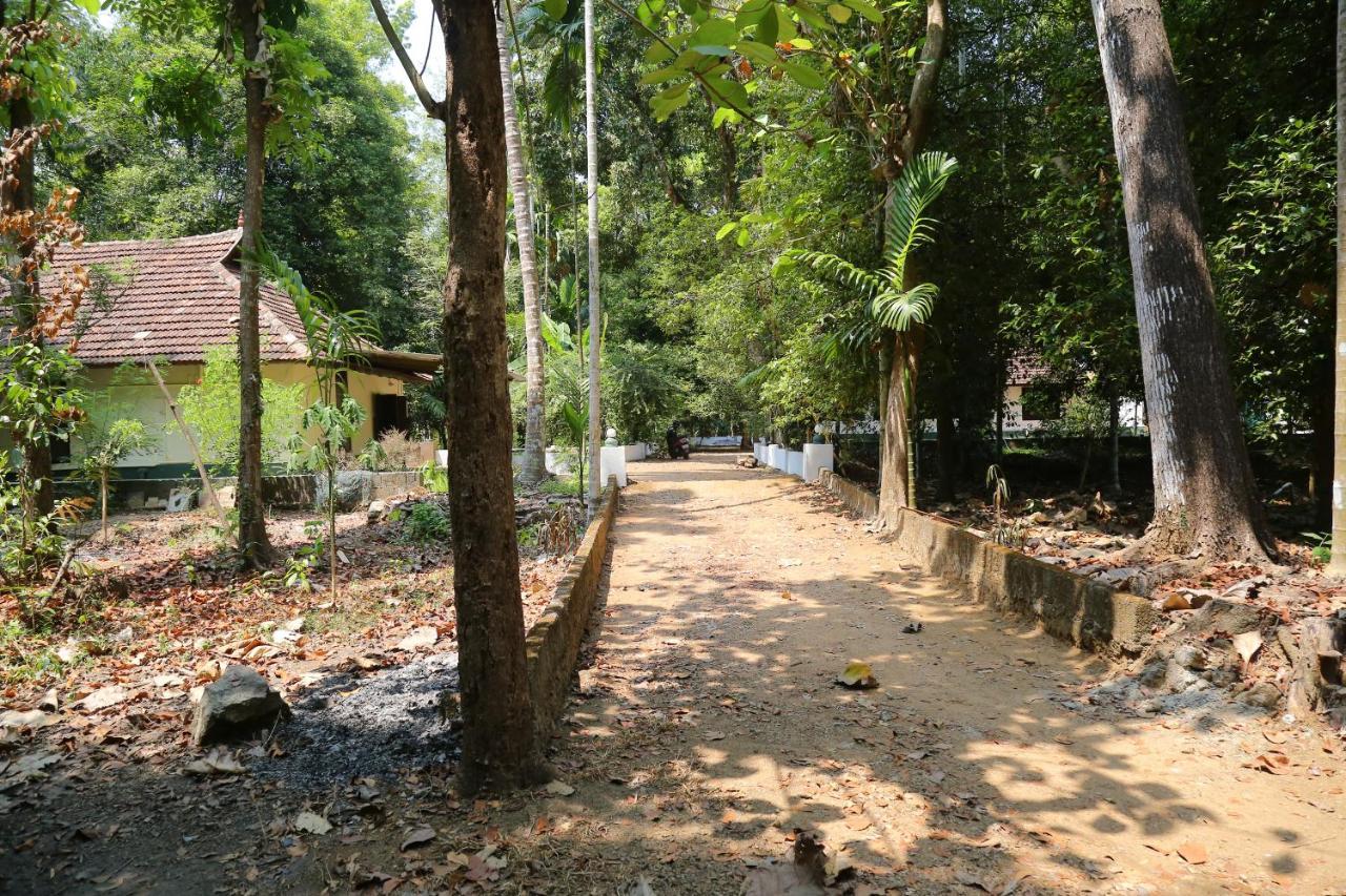 The Mana-Heritage Stay - Chengazhimattam Mana Kottayam Εξωτερικό φωτογραφία