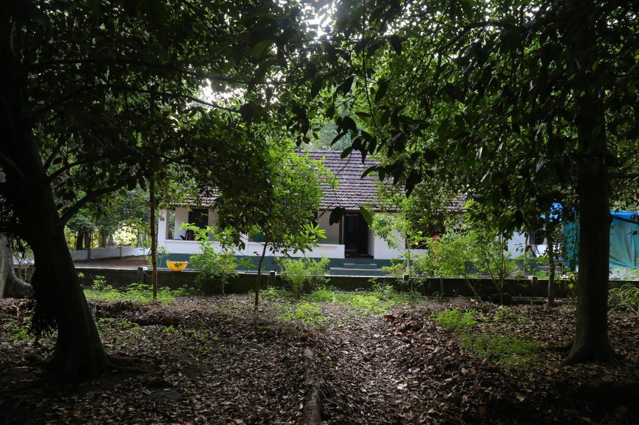 The Mana-Heritage Stay - Chengazhimattam Mana Kottayam Εξωτερικό φωτογραφία